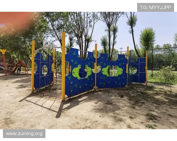 南宫体育ng官网位置及访问常见问题解答全攻略 南宫体育ng官网位置及访问常见问题解答全攻略