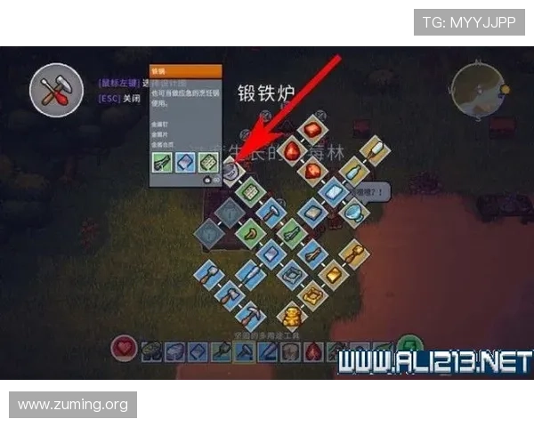 全面解析龙虎游戏的多样玩法及其特色玩法策略指南