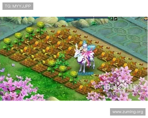 南宫ng娱乐网页版游戏技巧与策略分享提升你的胜率