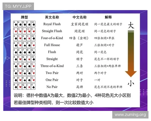 富贵三宝扑克游戏规则全面解析帮助玩家快速上手体验乐趣